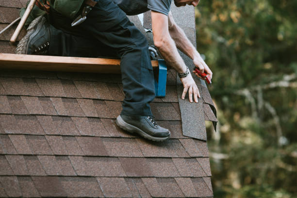 Best Roof Repair Specialists  in USA